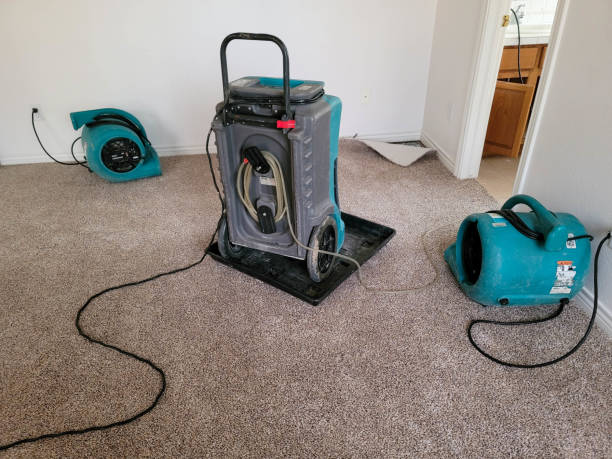 Best Water damage restoration near me  in Glassmanor, MD