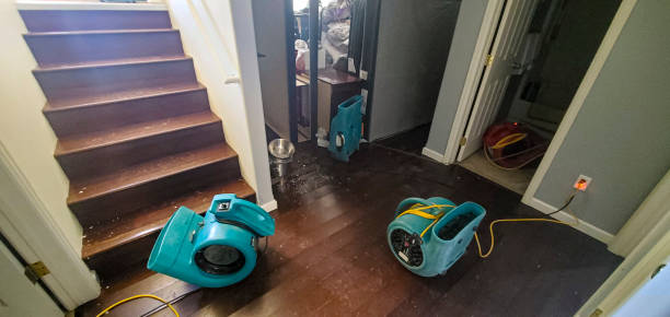 Best Water damage restoration company  in Glassmanor, MD