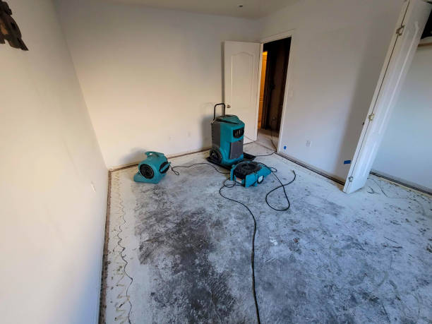 Best Mold removal after water damage  in Glassmanor, MD