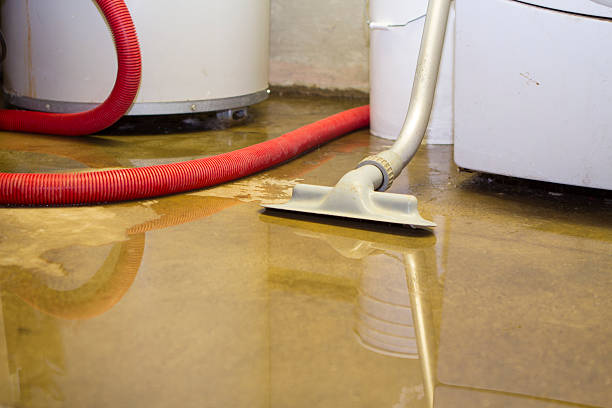 Best Fire Damage Restoration  in Glassmanor, MD